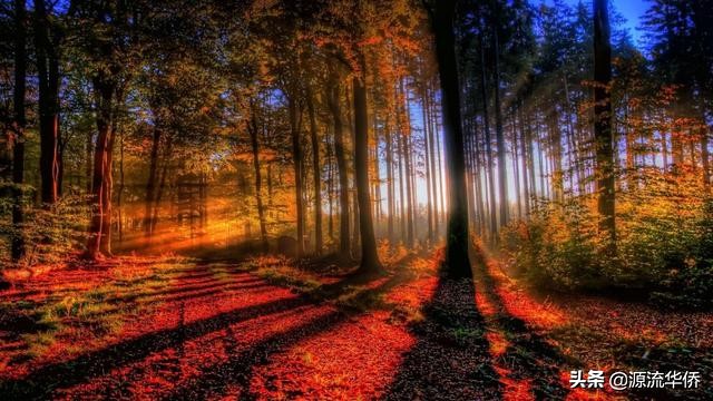 人生哲理讽刺讨厌的人,富有人生哲理的句子赏析