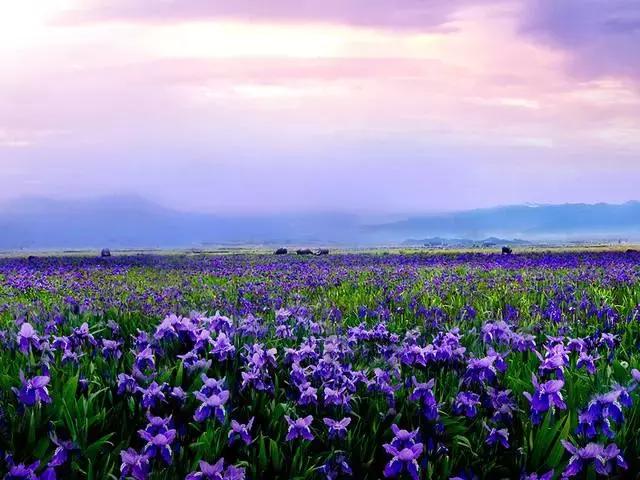 昆明大理腾冲瑞丽芒市六日游,瑞丽芒市腾冲四飞六日游