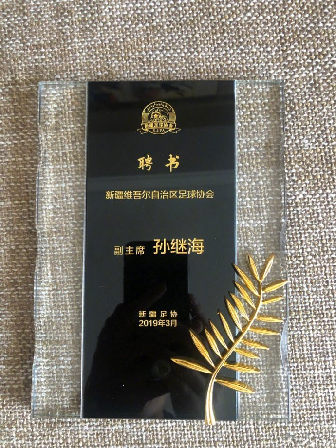 孙继海讨论中国足球,孙继海大连足球