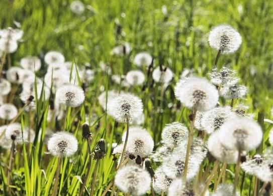 23岁年轻女孩查出乳腺癌,23岁姑娘得了乳腺癌