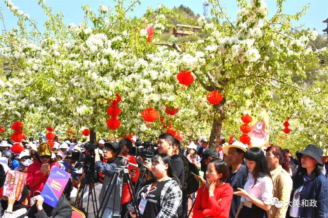 绿色和政春深夏浅风光好山美花浓待君来