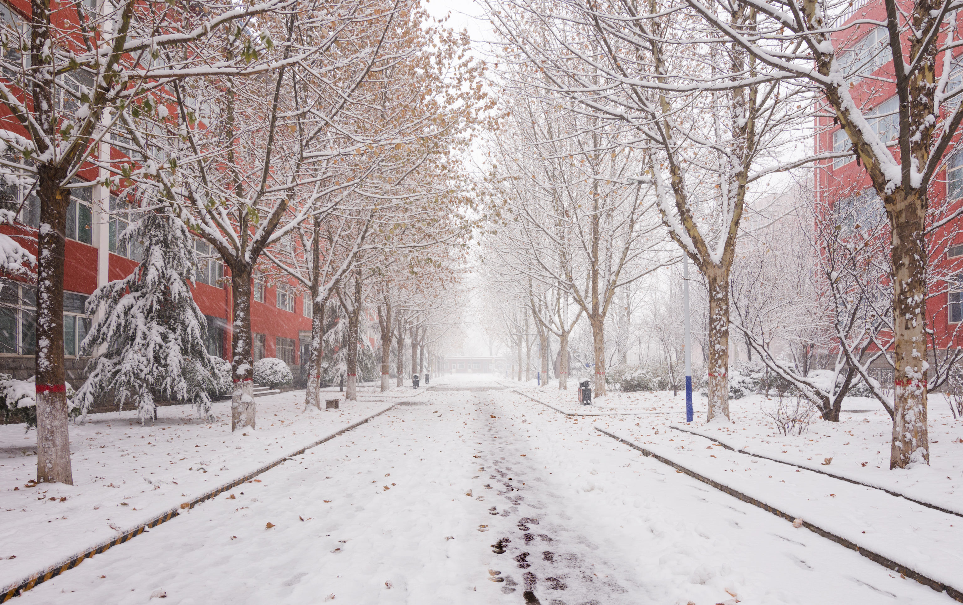 一个南方人在山西长治的四年，喜欢这座城市但又必须离开