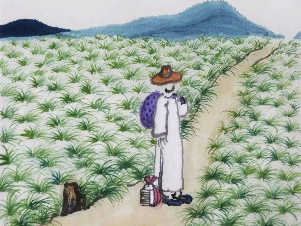 当不开心的时候怎么办,当你不开心的时候你会怎么办文案