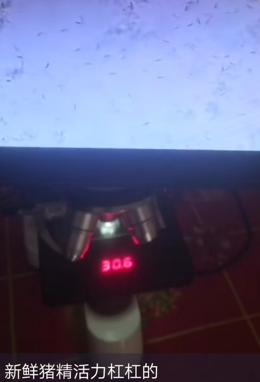 母以子贵怎么回事,母以子贵的后果