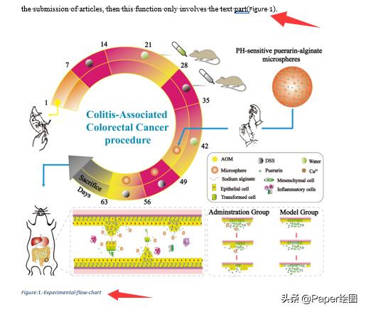 endnote怎么给文献加pdf,endnote怎么编辑文献输出格式