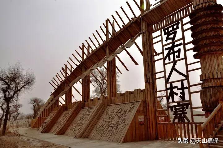 *疆新**库尔勒彻底火了！登上央视让世界瞩目，为库尔勒而骄傲