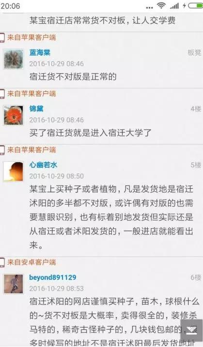 宿迁神苗淘宝,宿迁神苗真假对比