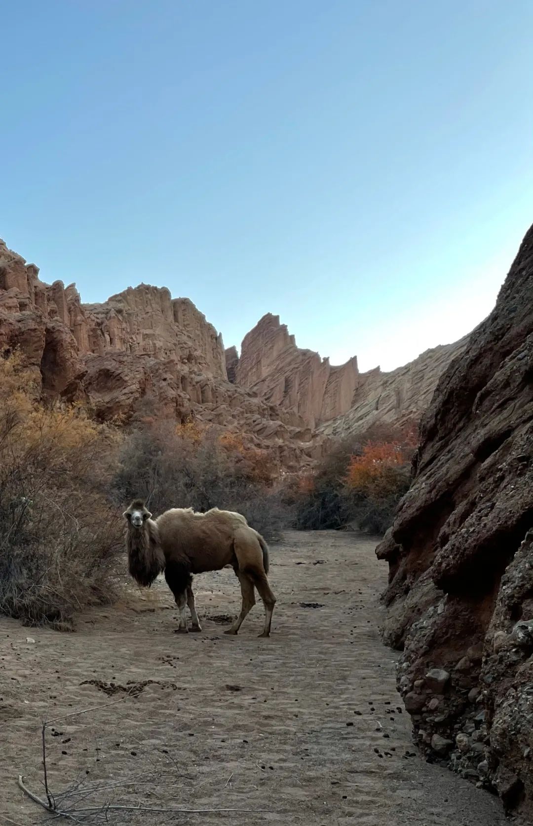 一招教你拯救废片视频,教你一秒拯救废片