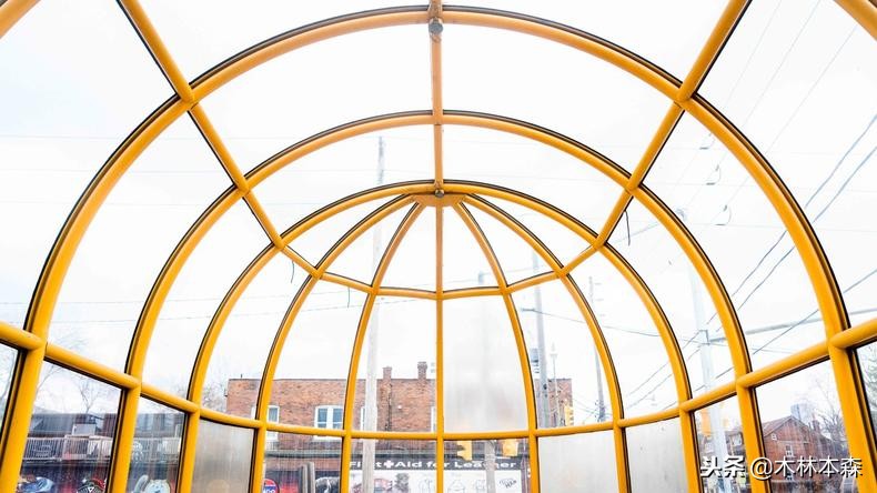 加拿大多伦多生活日记,加拿大多伦多留学生活纪实