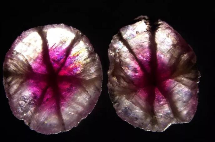 石头上有花纹的石头值多少,石头上有龙图案值钱