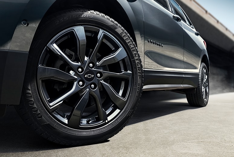 鱼与熊掌兼得,鱼与熊掌兼得会怎么样