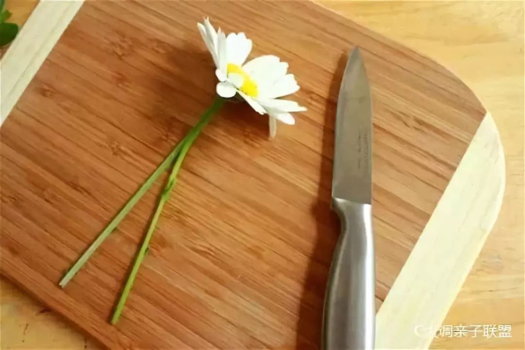 科学实验好奇心,科学入门小实验