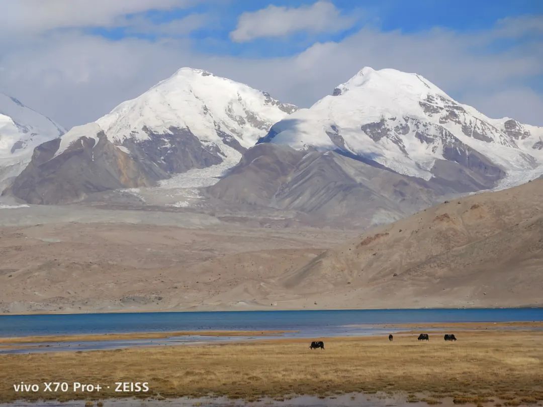 哪款手机拍照能比得上苹果13,iphone手机谁拍照最好用