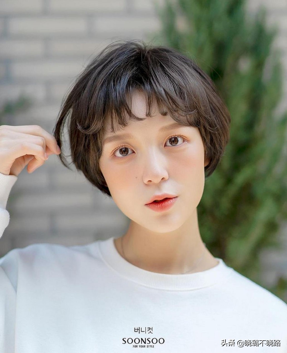 显老的脸型剪什么发型,好看的脸剪什么发型都好看