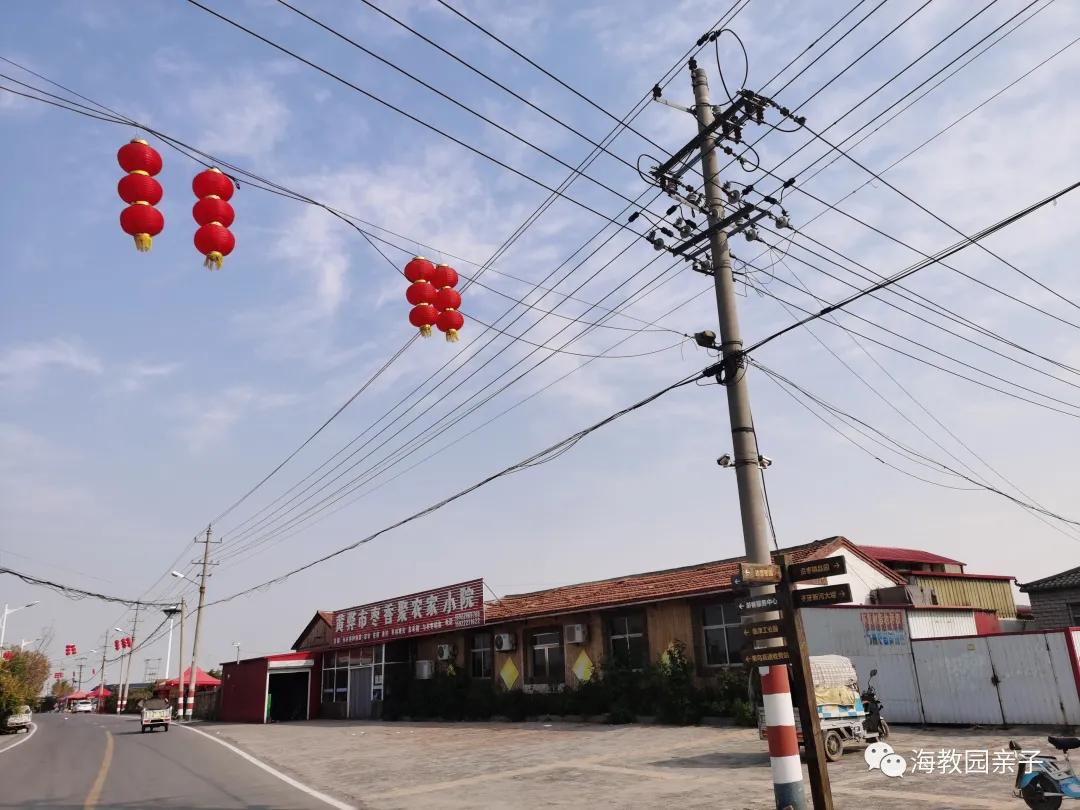 秋日好时光冬枣采摘,带着愉悦的心情踏上了冬枣采摘园