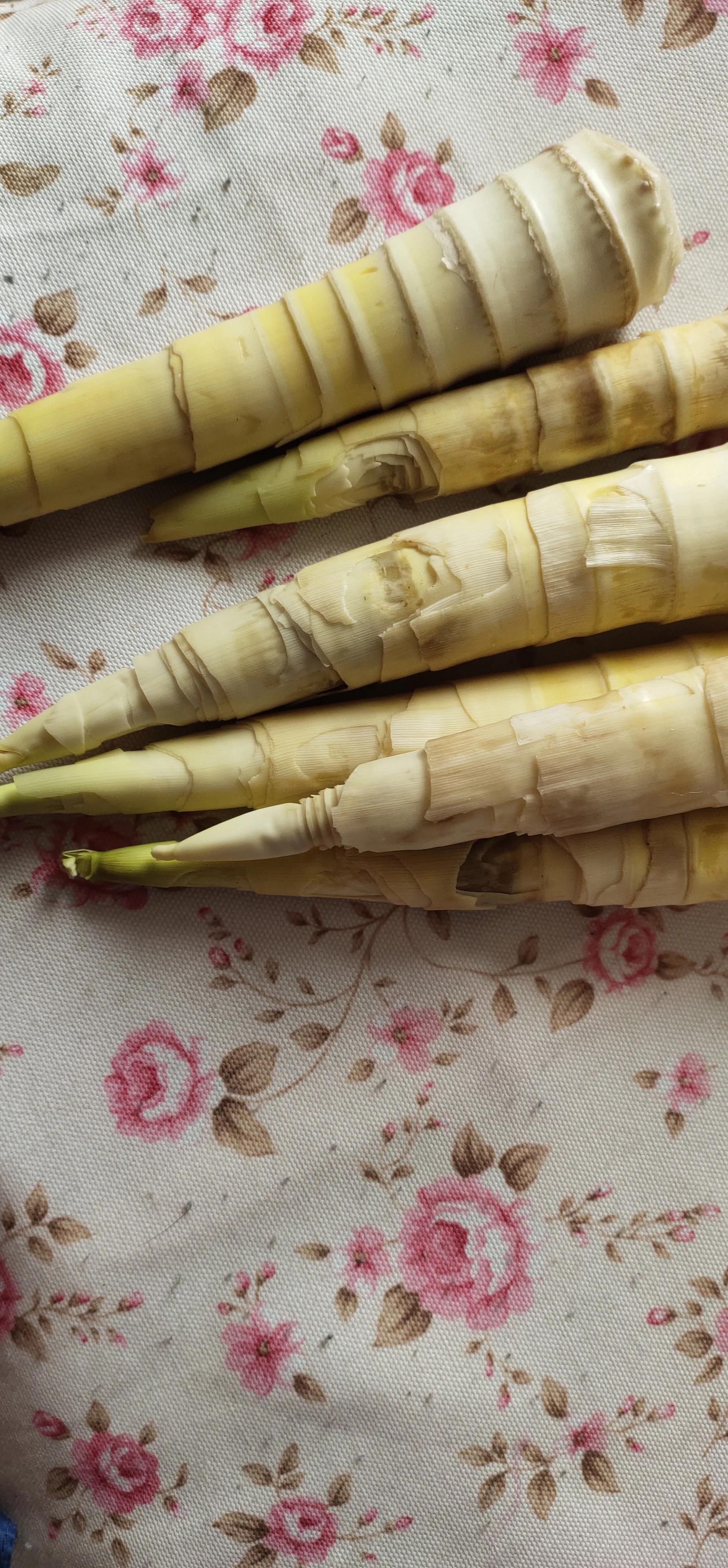 做一盘鲜嫩的竹笋凉拌吃最爽口了,新鲜竹笋这样做开胃下饭方法简单