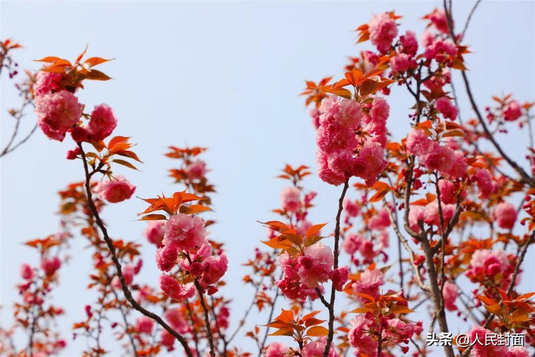 太湖骑行步道,无锡太湖骑行绿道