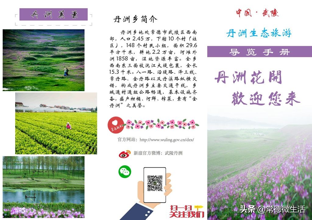 常德丹洲大草原介绍,丹洲草原风景