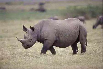 我的爱好之一是的英语,我的爱好之一是弹钢琴用英语怎么说