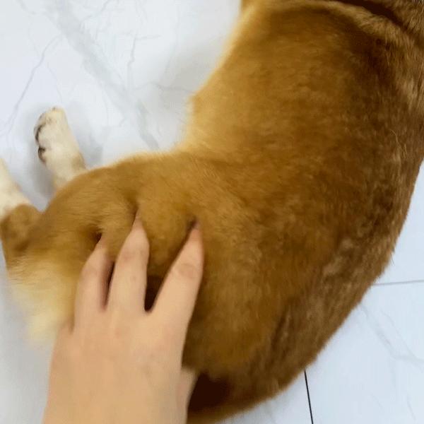 专门摸屁股的店，任摸