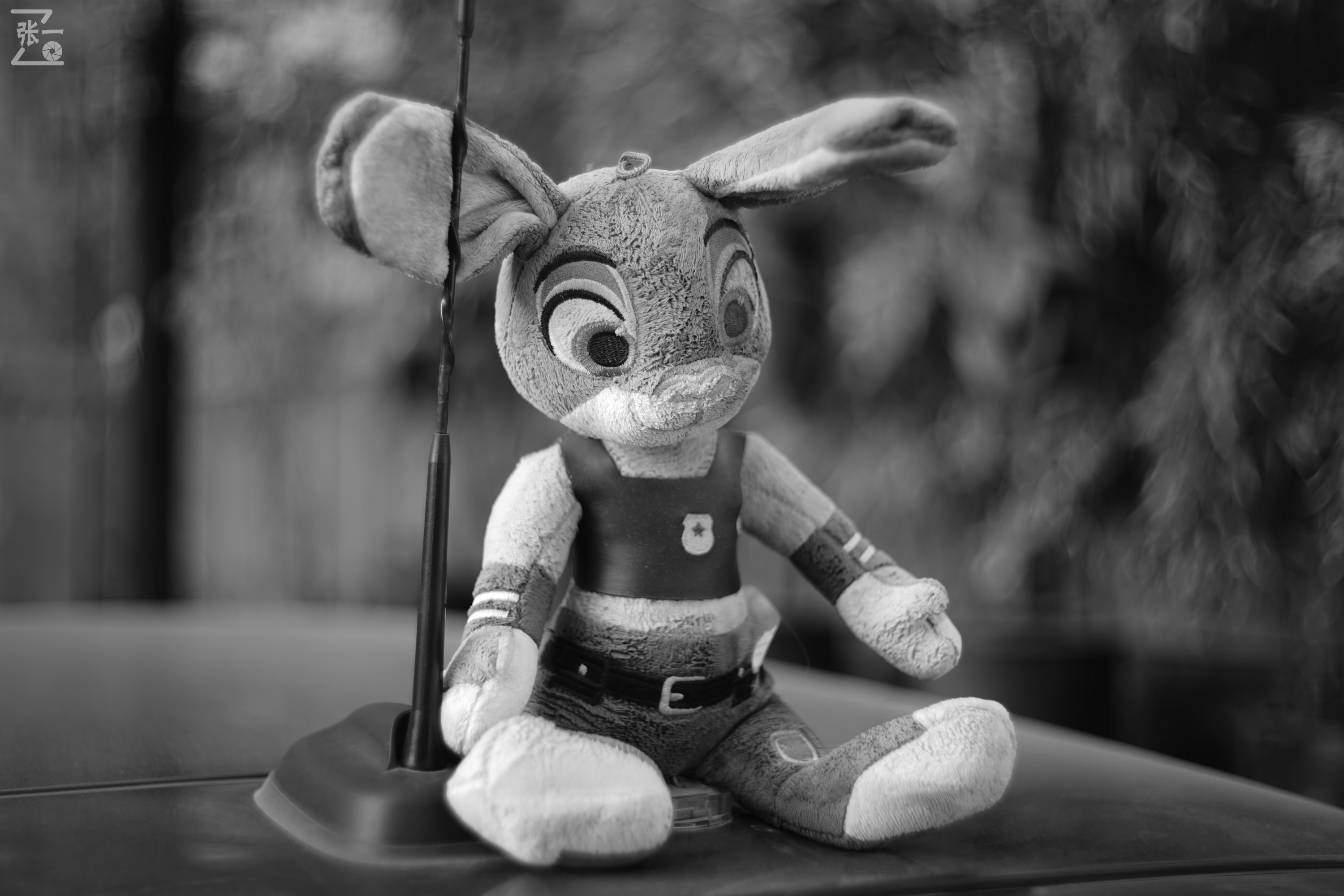 日本进口雅西卡胶卷相机,雅西卡135相机