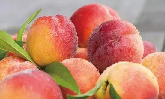 对不起我要去钟祥了图片,对不起我要去忙了日语