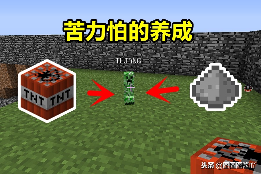 我的世界如何养一只苦力怕,我的世界怎么收养苦力怕