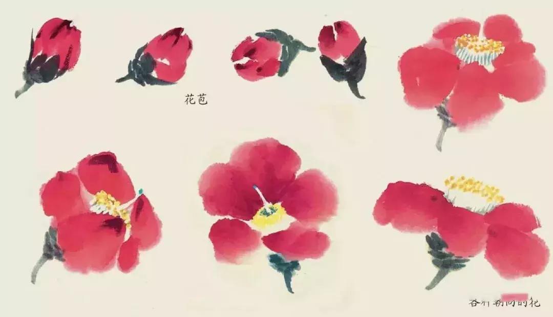 国画中各种花卉的画法,国画花卉画法步骤视频教程