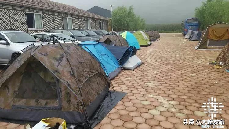 大连最美赏槐露营地,槐之乡露营地