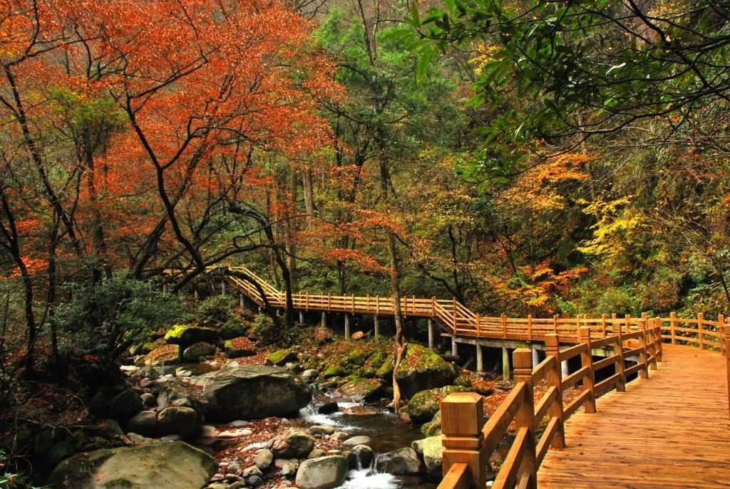 秋季人少景美的小众旅行地,最清静优雅的旅游之地