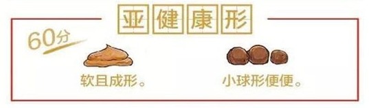 猫咪软便拉稀是什么问题,猫咪软便拉稀是如何处理