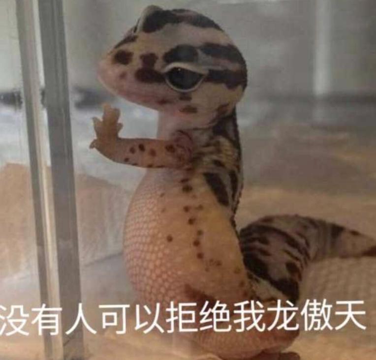 管不住下半身，但我是个好男人？