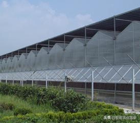 有名气的温室大棚防虫网,沭阳温室大棚防虫网有什么作用