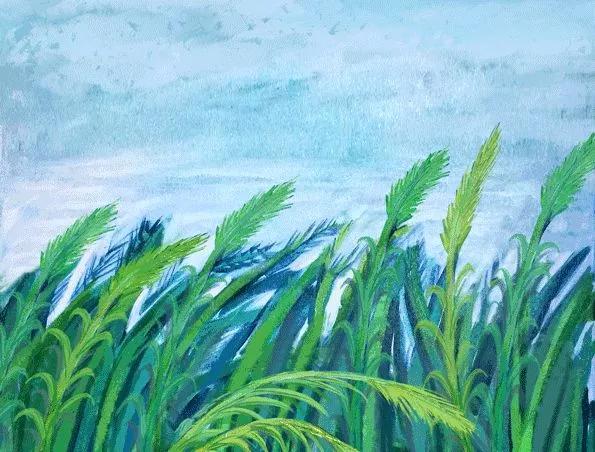 柬埔寨十大投资机会,柬埔寨投资的十大坑