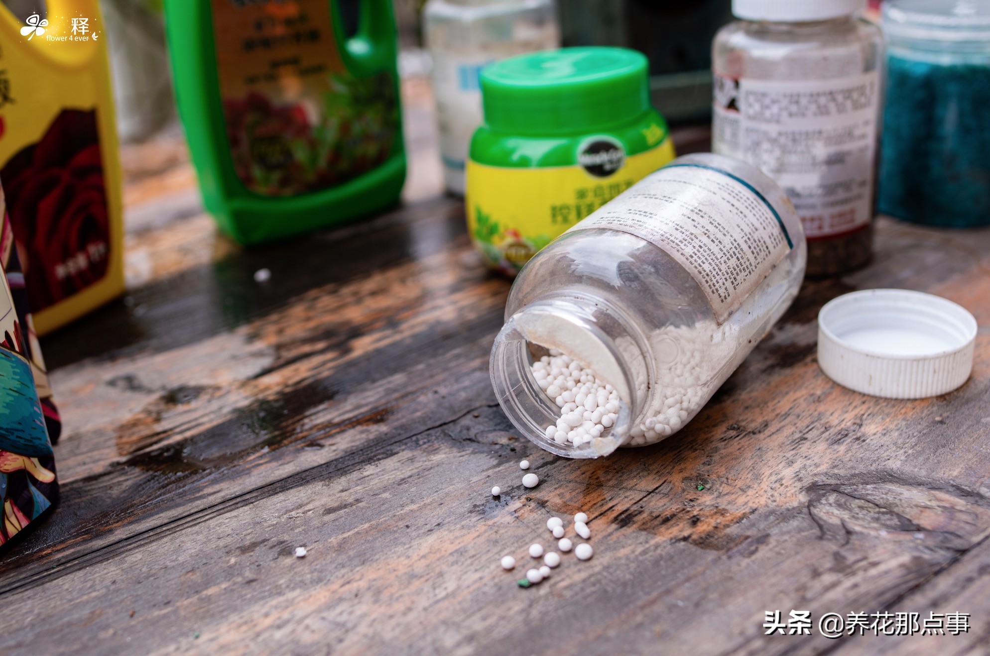 十大骗人的肥料排名,特别便宜的花多多水溶肥真的假的