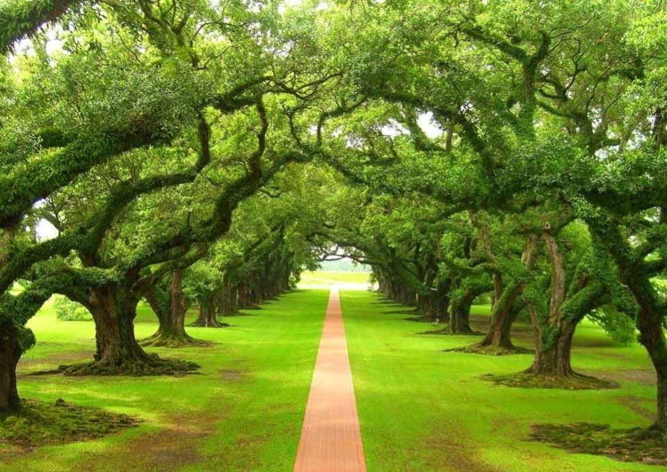 我不想当好后妈了怎么办,我不想做后妈