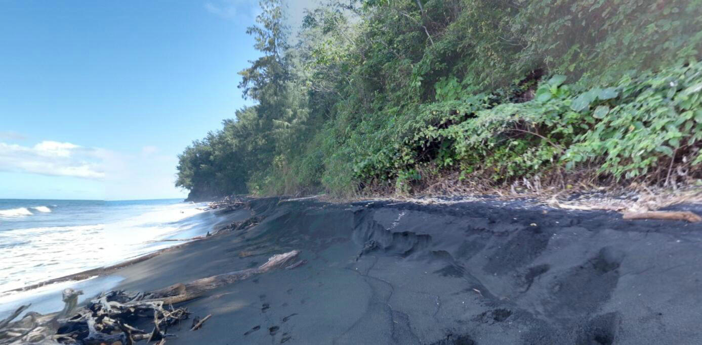 火山岛火山灰岛屿,一个全是巨型生物岛