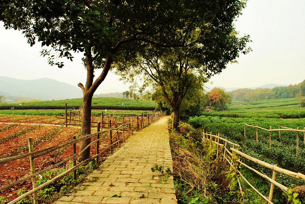 杭州西湖附近可住6人的家庭民宿,去西湖玩住民宿还是住酒店