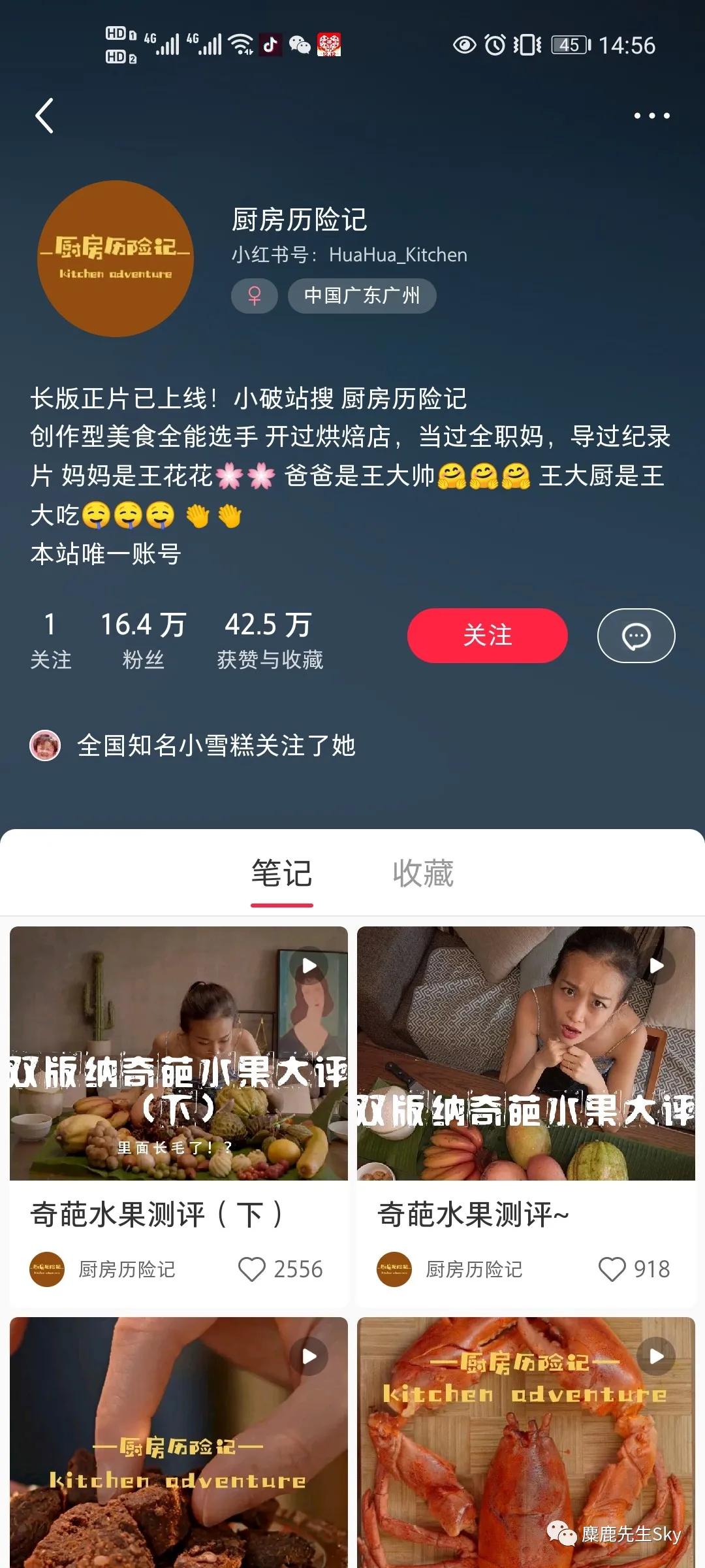 小红书怎么一个月涨一万粉,小红书万粉博主收入