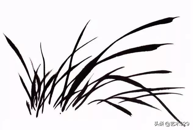 国画兰花画法免费技法教程,国画兰花绘画图