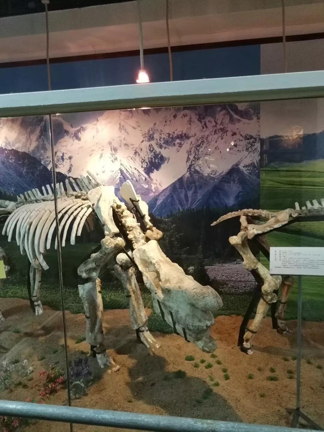 番禺地铁7号线旅游攻略,广州番禺七号线游玩攻略