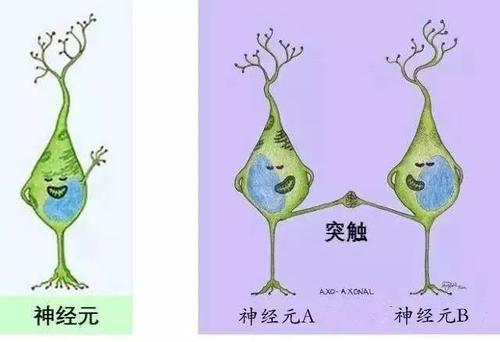 抑郁症缓解物品,抑郁症吃什么药让情绪最快稳定