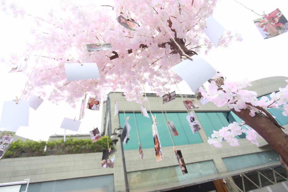 上海哪里适合求婚户外,上海哪些场地适合求婚