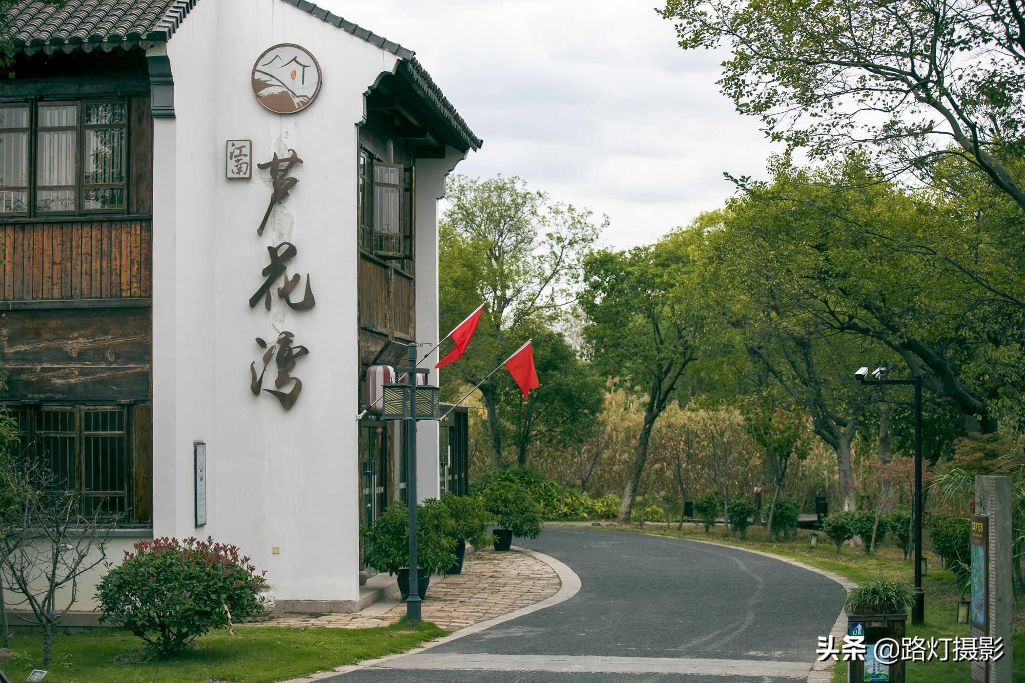 沙家浜秋色,沙家浜秋天芦苇荡