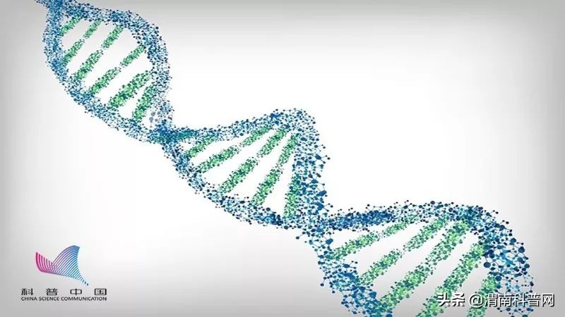 祛除眼袋的小妙招红霉素软膏,用什么可以祛除黑眼圈和眼袋