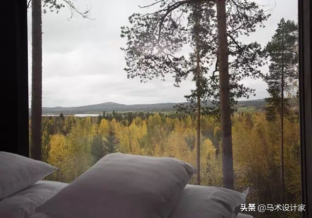 森迪部落树屋酒店,浙江树屋酒店