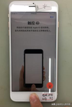 iphone指纹芯片破裂怎么修复,iphone8plus指纹乱跳