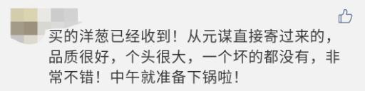 “太大了，立马下锅！”元谋出口级黄皮洋葱已到货，25万吨滞销洋葱等你来拼单！
