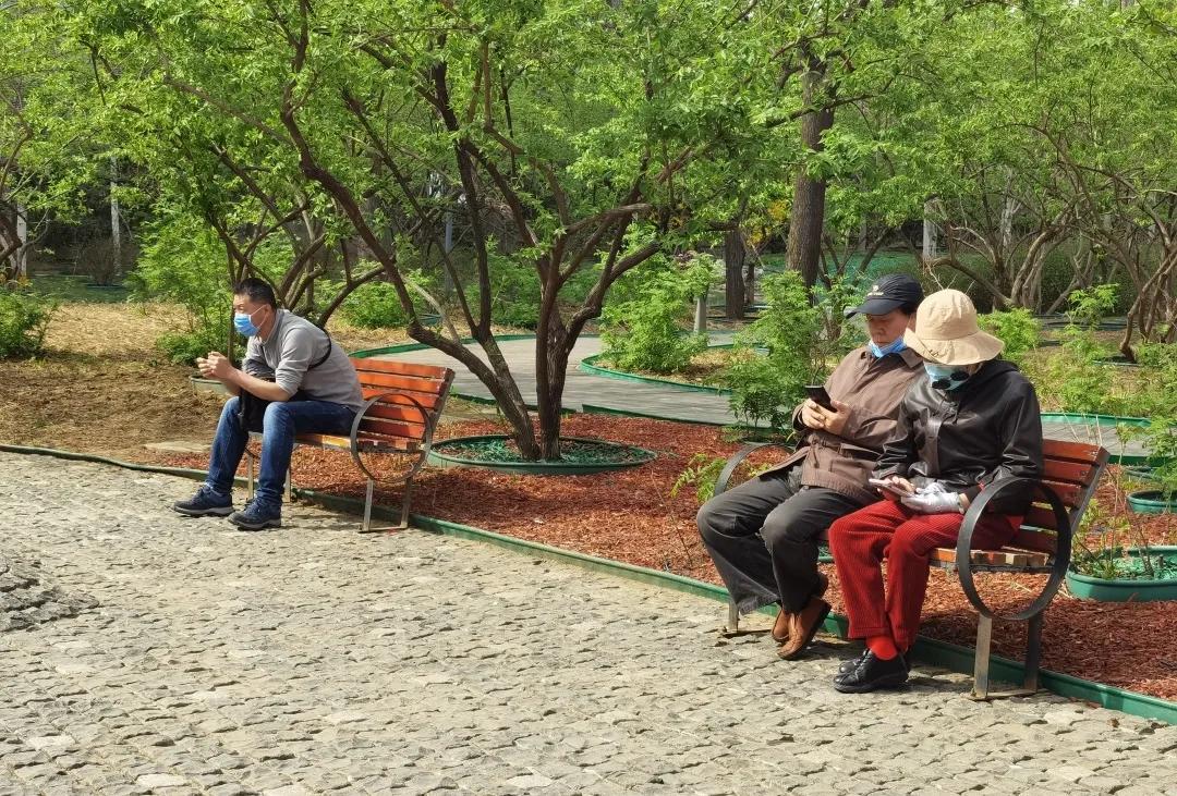 石景山公园绿地景观效果,石景山网红打卡地夜景