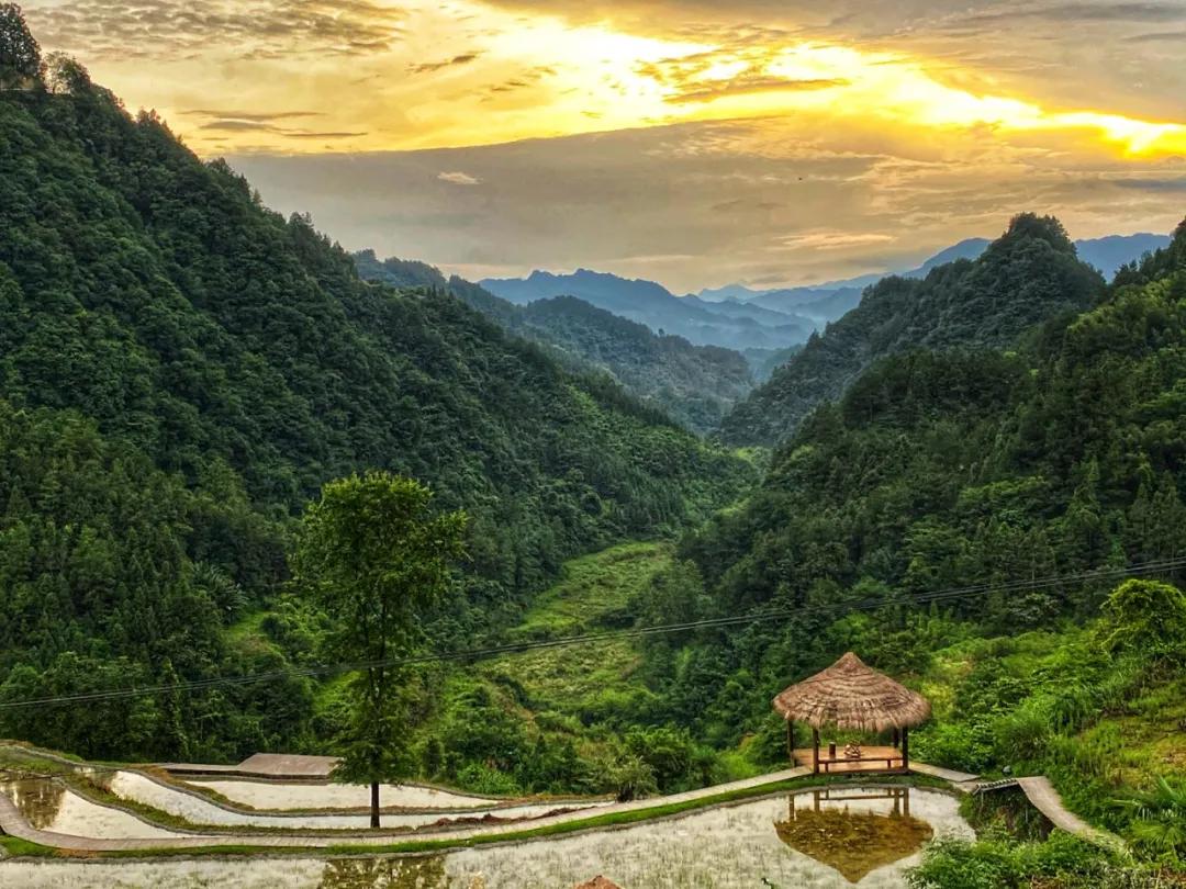 神仙眷侣辞掉高薪工作，爆改废弃山谷，造无边恒温泡池，全景树屋